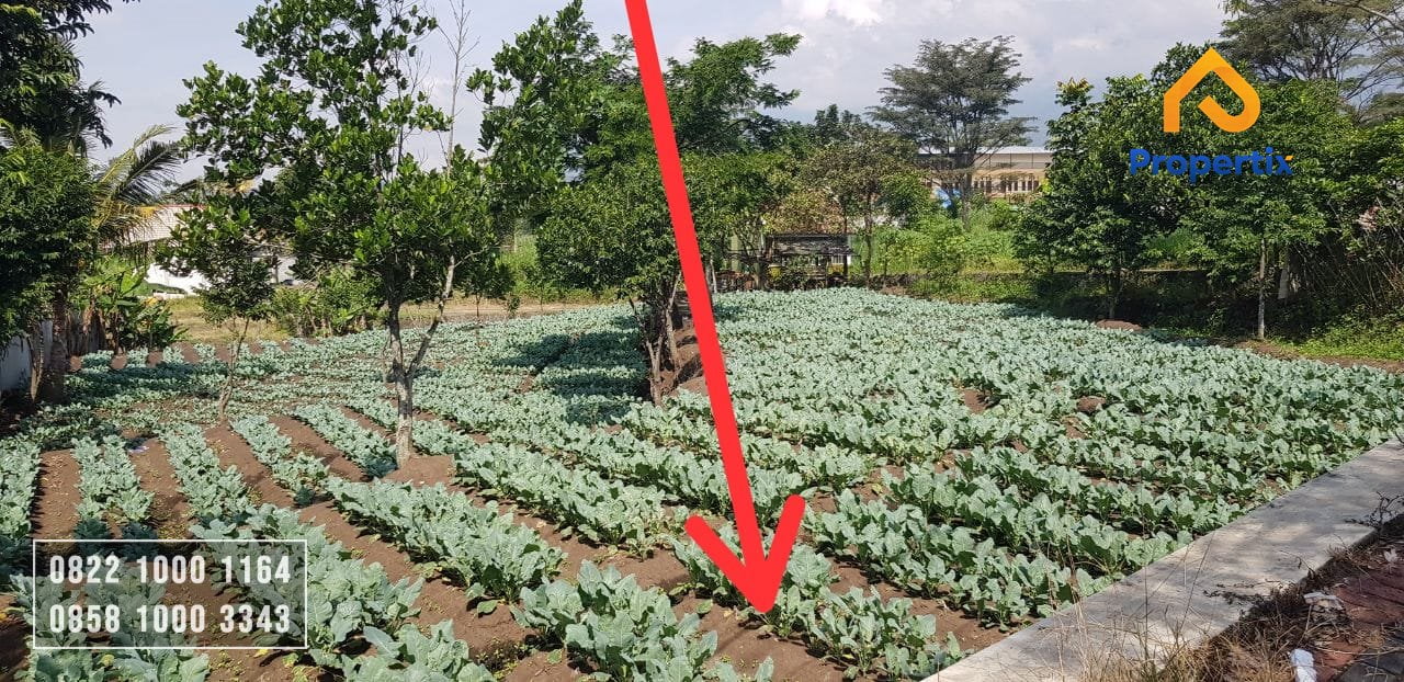 Dijual Tanah Strategis