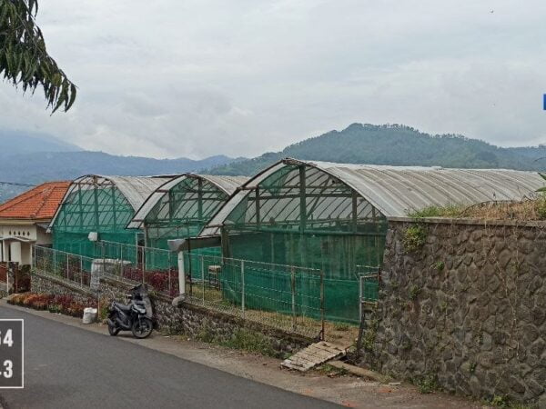 Tanah di Daerah Batu