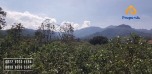 tanah di lingkungan penduduk