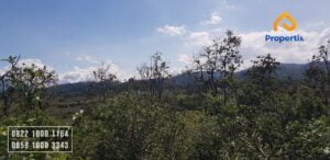 tanah di lingkungan penduduk