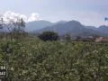 tanah di lingkungan penduduk