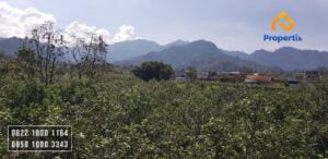 tanah di lingkungan penduduk