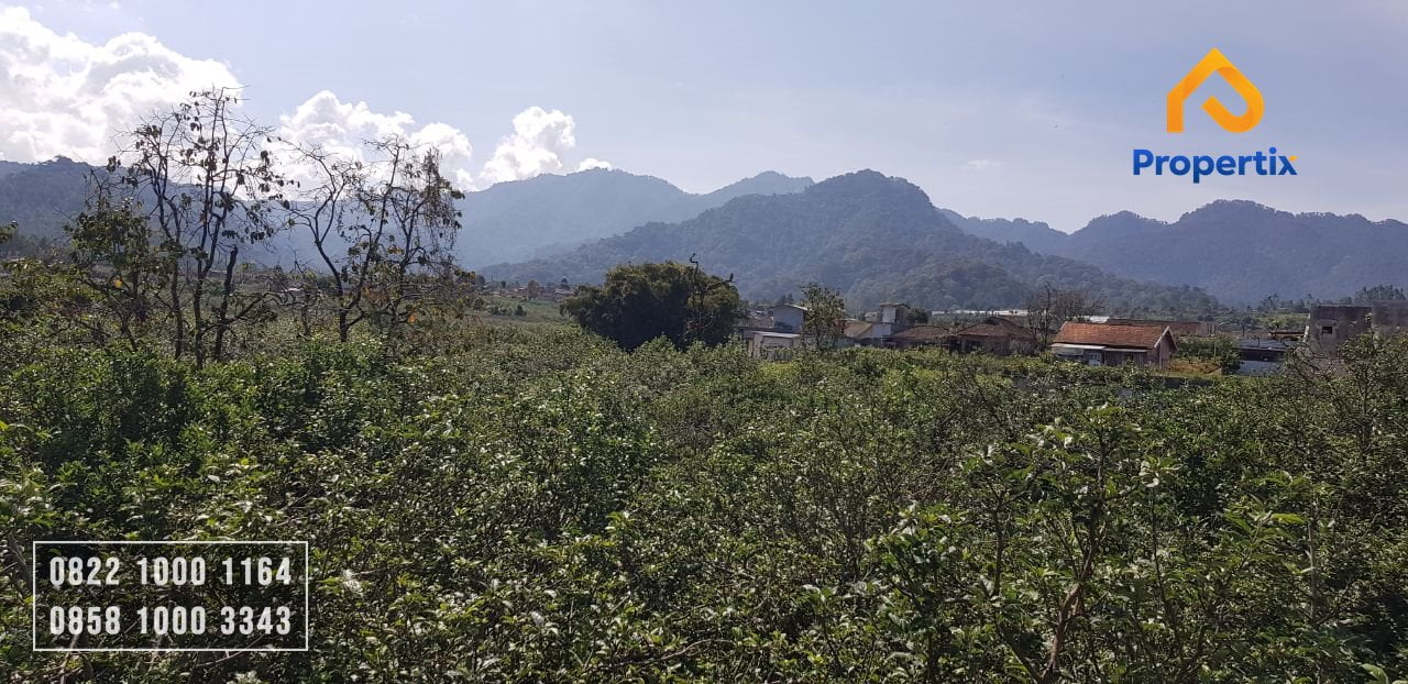 tanah di lingkungan penduduk