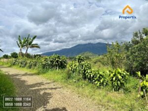 Tanah Villa Dijual