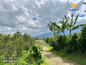 Tanah Villa Dijual