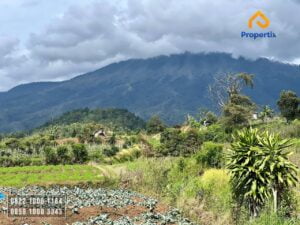 Tanah Villa Dijual