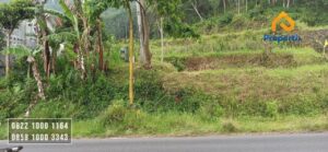 Tanah Strategis
