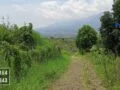 Kebun Dijual Murah