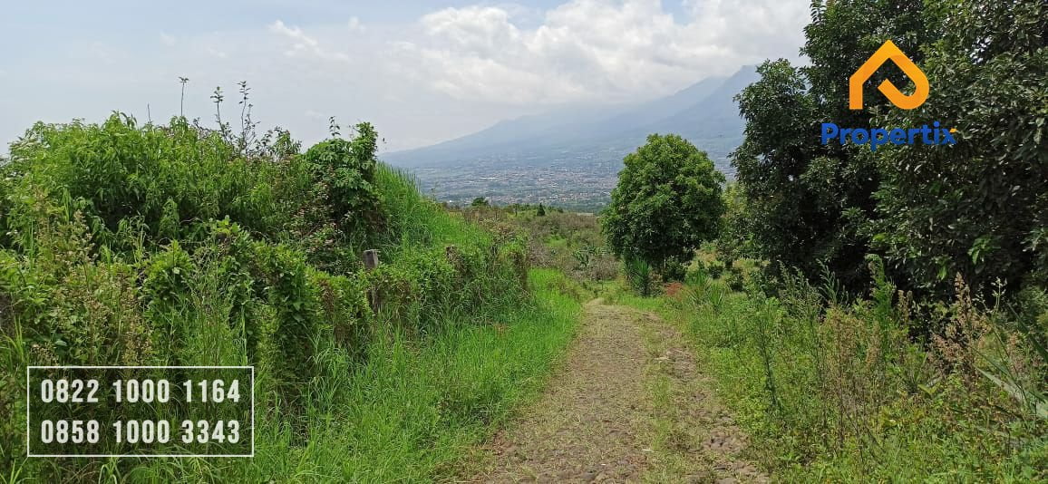 Kebun Dijual Murah