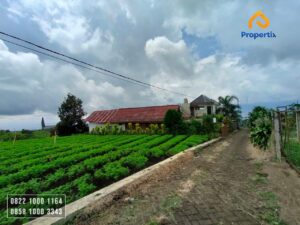 tanah dengan view cantik,