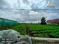 tanah dengan view cantik,