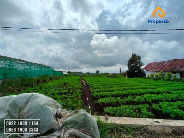 tanah dengan view cantik,