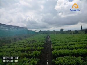 tanah dengan view cantik,