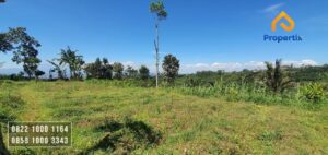 Tanah Kebun Strategis