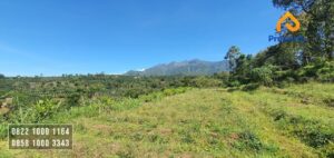 Tanah Kebun Strategis