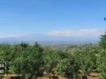 Tanah Kebun Strategis