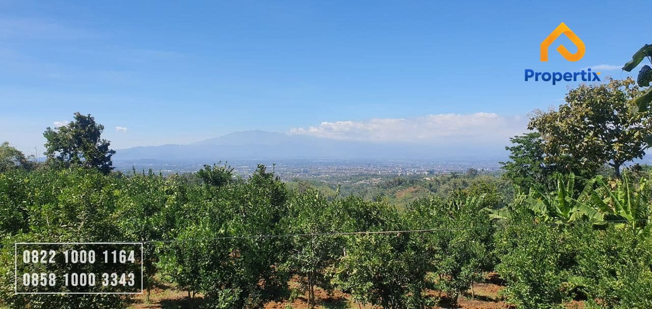 Tanah Kebun Strategis