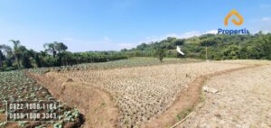 Tanah Strategis