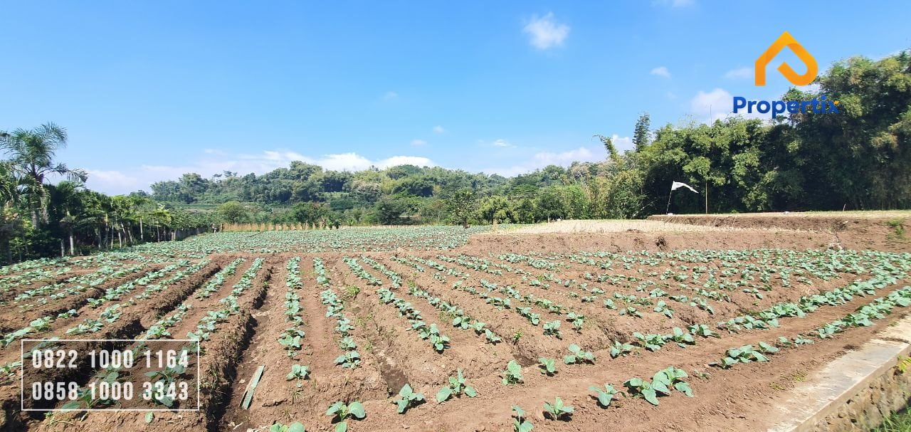 Tanah Strategis
