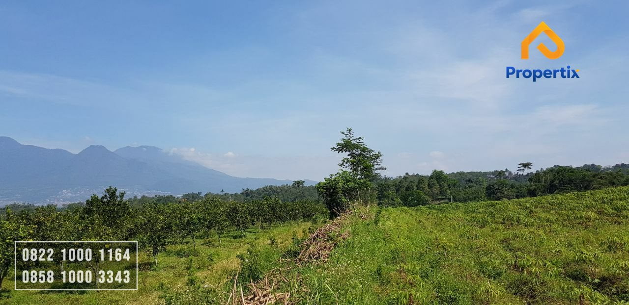 Kebun Jeruk Murah