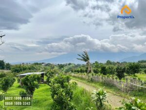Tanah Kebun
