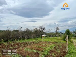 Tanah Kebun