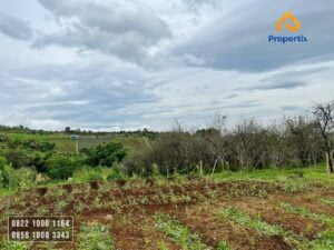 Tanah Kebun