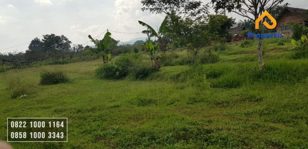 Tanah di Lingkungan Kota