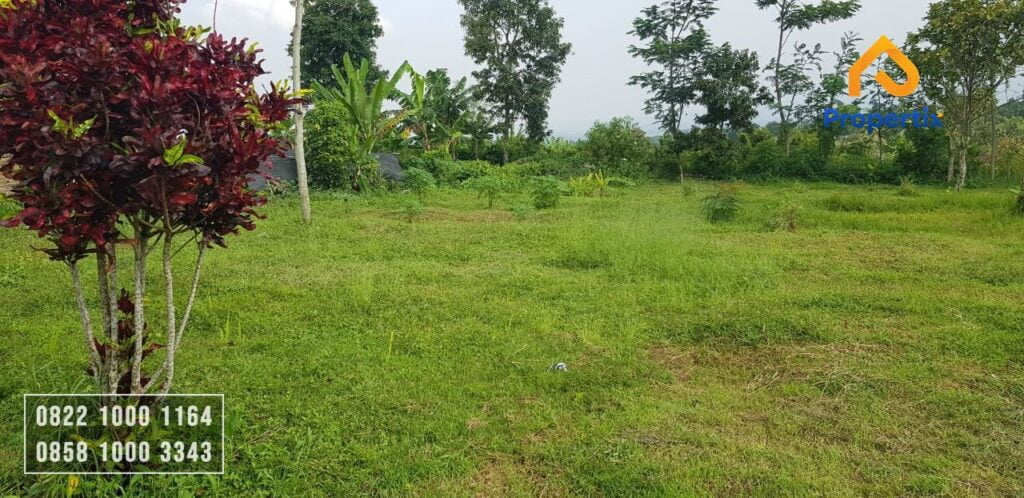 Tanah di Lingkungan Kota