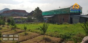 tanah dijual murah