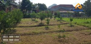 tanah dijual murah