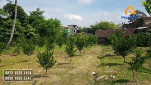 tanah dijual murah