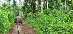 investasi tanah malang