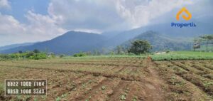 Tanah Pertanian Batu Malang