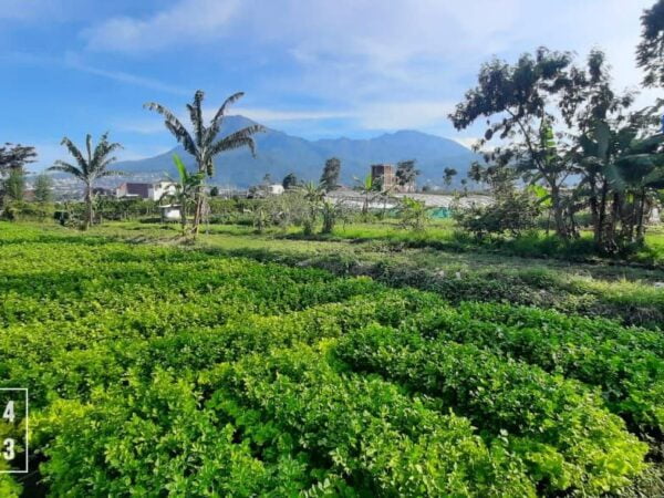 Tanah Murah di Kota Batu