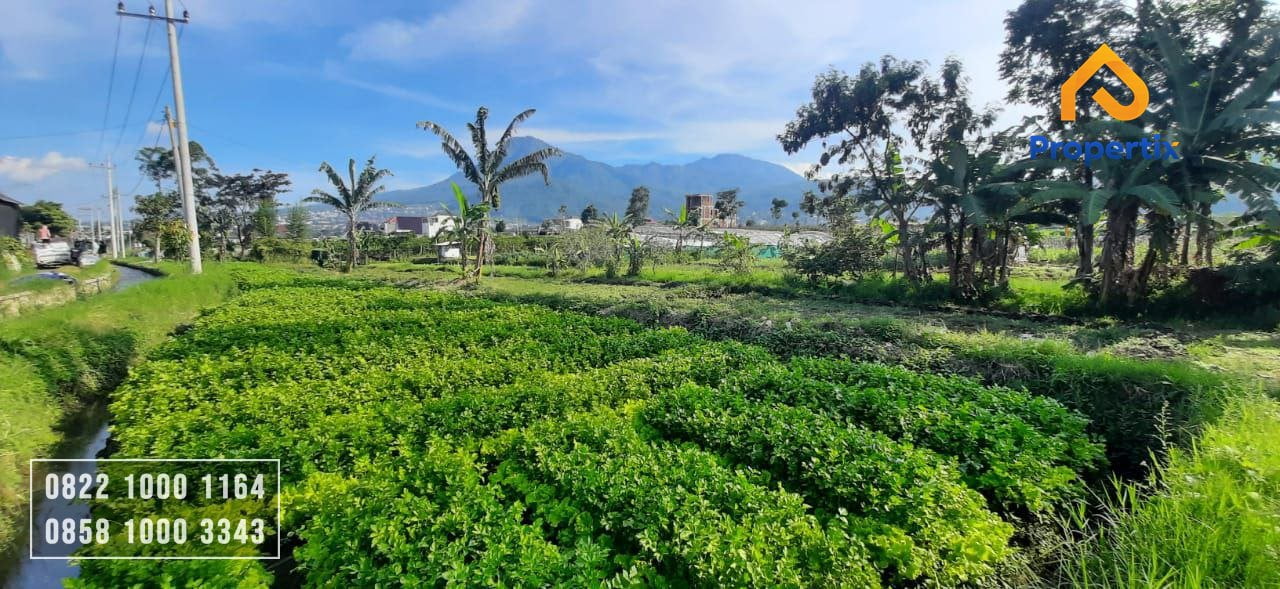 Tanah Murah di Kota Batu