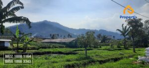 Tanah Murah di Kota Batu