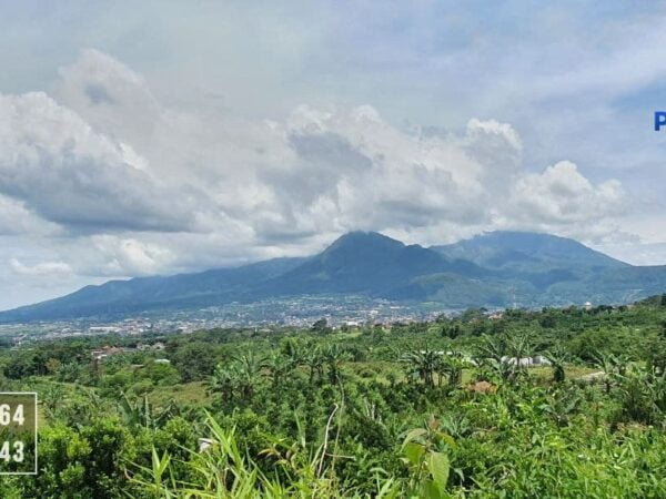Kebun Jeruk Dijual di Kota Batu