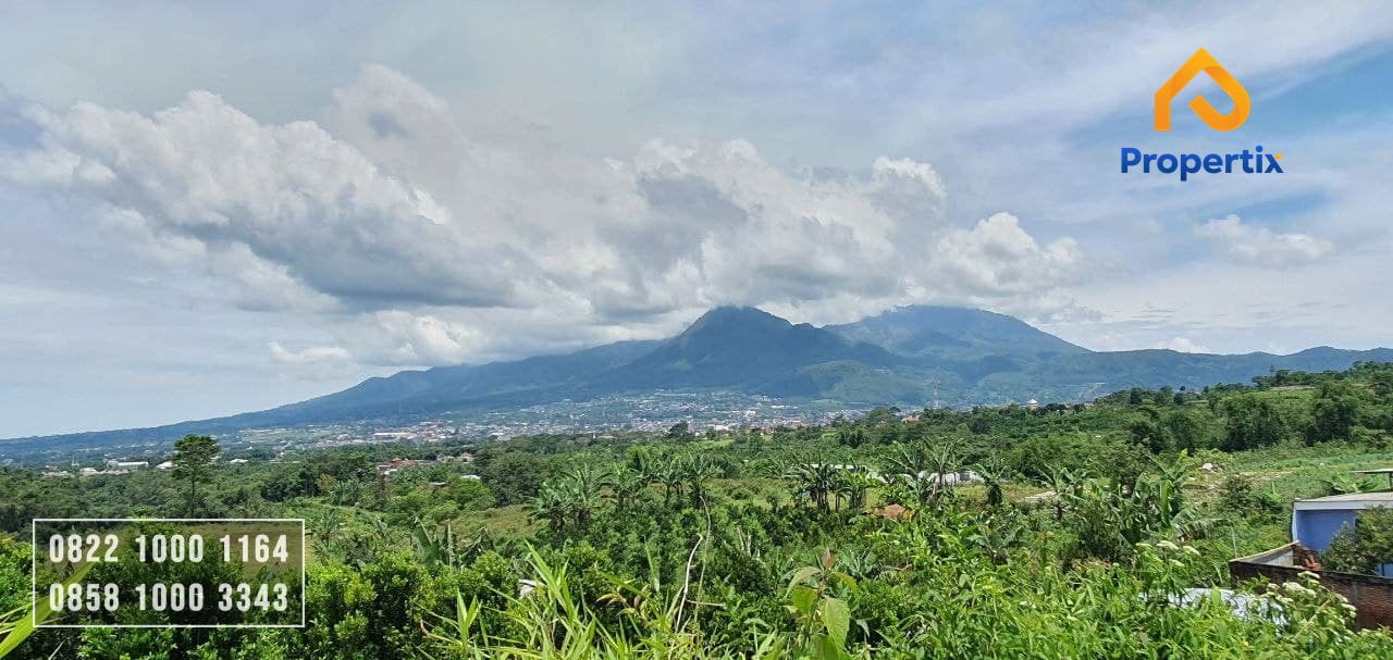 Kebun Jeruk Dijual di Kota Batu