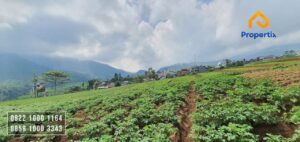 jual lahan pertanian kota batu