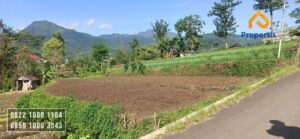 Tanah Dengan View Cantik