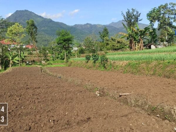 Tanah Dengan View Cantik