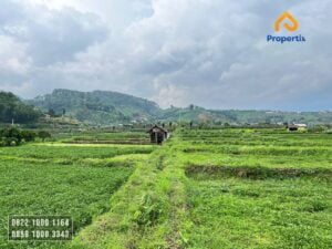 Tanah Villa Dijual Murah