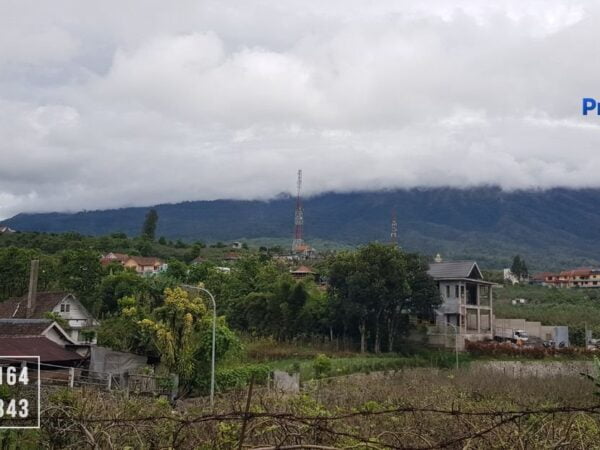 Tanah Pinggir Jalan Raya