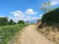 akses kebun jeruk