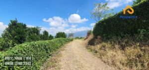 akses kebun jeruk