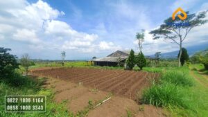 Tanah Kebun Dijual