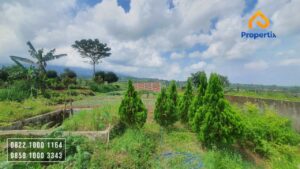 Tanah Kebun Dijual