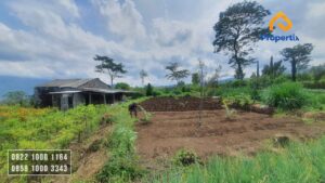 Tanah Kebun Dijual