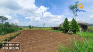 Tanah Kebun Dijual